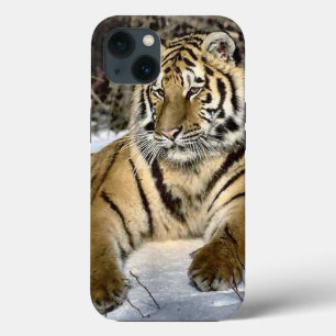 Etui iPhone 13 Amateurs de tigres