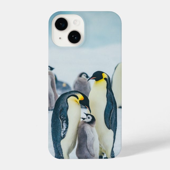 Coque iPhone Animaux de bébés cutest | Alimentation de pingouin (Verso)
