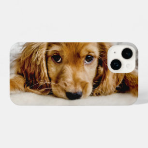 Coque Pour iPhone 14 Animaux de bébés cutest Cocker Spaniel