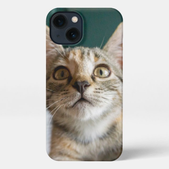 Coque iPhone Animaux de bébés cutest | Cute Tabby Kitten (Verso)