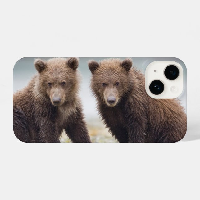 Coque iPhone Animaux de bébés cutest | Deux petits ours d'ours (Verso Horizontal)