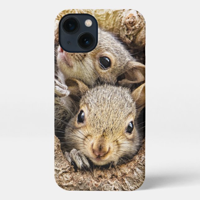 Coque iPhone Animaux de bébés cutest | Écureuils curieux (Verso)