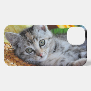 Etui iPhone 13 Animaux de bébés cutest   Lounge Kitten