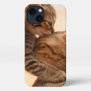 Etui iPhone 13 Animaux de bébés cutest   Tabby Kitten Kiss