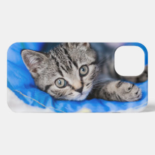 Etui iPhone 13 Animaux de bébés cutest   Tunnel Tabby Kitten en J