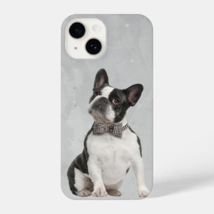 Coque Pour iPhone 14 Aquarelle Boston Terrier chien animal animal anima