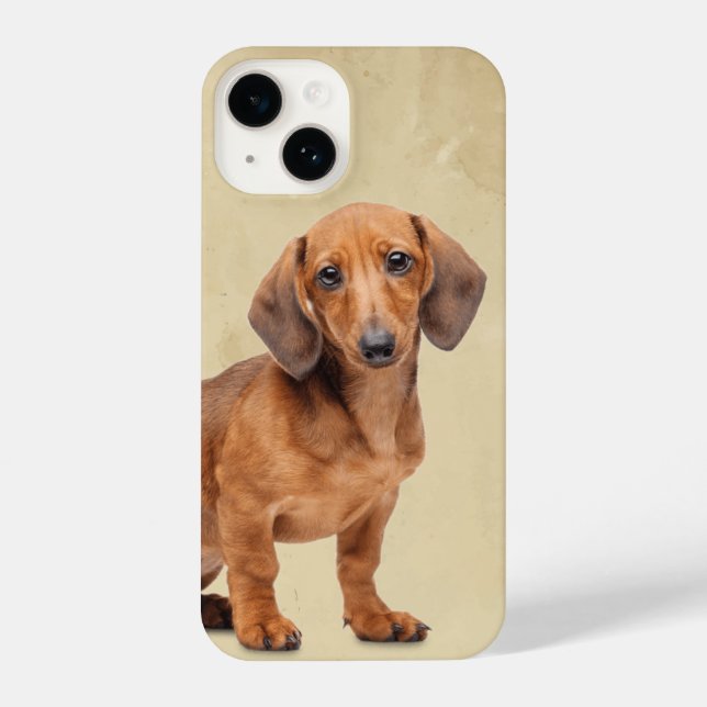 Coque iPhone Aquarelle Dachshund chien animal animal animal ani (Verso)