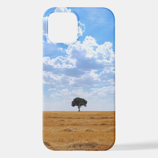 Coque iPhone Arbre dans un champ de blé récolté (Verso)