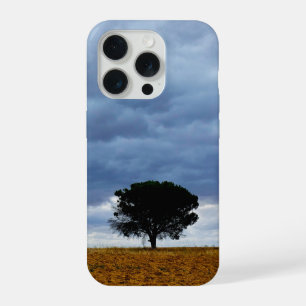 Arbre dans un champ vide