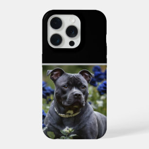 "Beauté Blue Brindle : un Staffy avec des roses bl