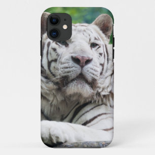 Coque iphone blanc de tigre