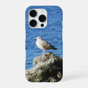 Coque iPhone 16 Pro Boîtier téléphonique Seagull