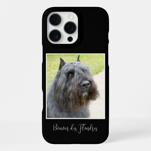 Coque iPhone Bouvier des Flandres Photo (Verso)