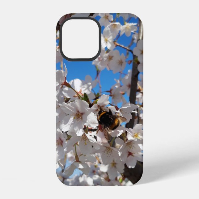 Coque iPhone Bumblebee sur la fleur de cerisier sauvage (Verso)