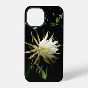 Coque iPhone 12 Pro Cactus Bloom