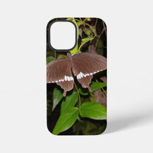 Coque iPhone 12 Mini cadeau d'amant papillon