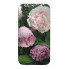 Caisse rose de la fleur Iphone4 de pivoine