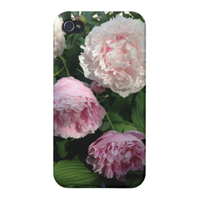 Coque iPhone Caisse rose de la fleur Iphone4 de pivoine (Dos)