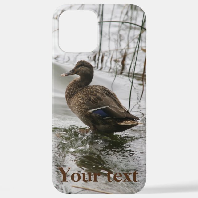 Coque iPhone Canard gris sur la nuit du lac (Verso)