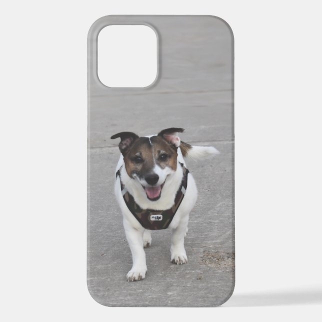 Coque iPhone Capo von Oppenheim, Jack Russell Terrier Chien (Verso)