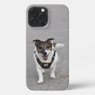 Etui iPhone 13 Pro Max Capo von Oppenheim, Jack Russell Terrier Chien