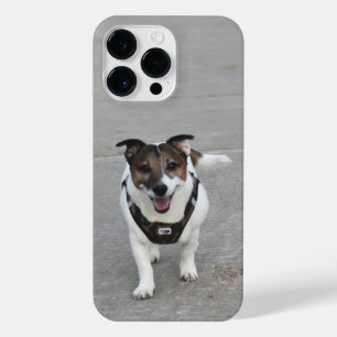 Coque Pour Pour iPhone 14 Pro Max Capo von Oppenheim, Jack Russell Terrier Chien