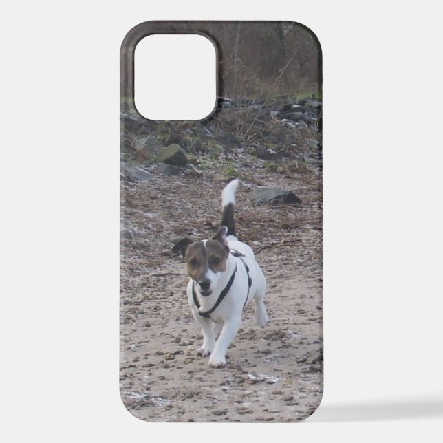 Coque iPhone Capo von Oppenheim, Jack Russell Terrier Chien (Verso)