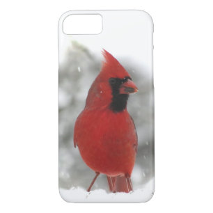 coque iphone Cardinal Bird