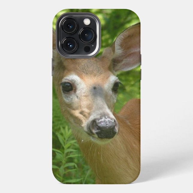 Coque iPhone Cerf à queue blanche  (Verso)