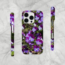 Champ de violettes en Hollande, Cellule