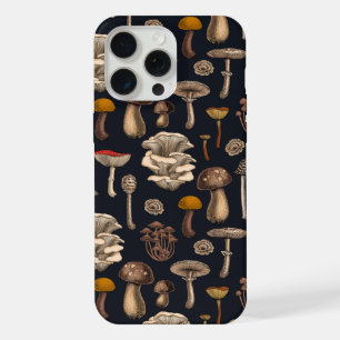 Champignons sauvages sur fond noir graphite