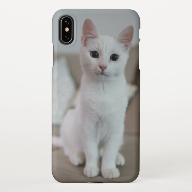 Coque iPhone chat blanc | Zazzle_Growshop. (Dos)