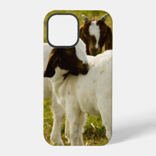 Coque iPhone 12 Pro Chèvres Boer curieuses dans une ferme ensoleillée