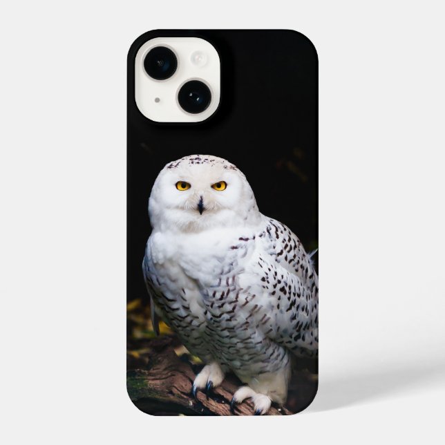 Coque iPhone Chouette hivernale majestueuse (Verso)
