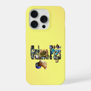 Cochons d'Inde est le mot,