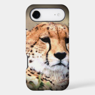 Coque iphone Coque Cheetah-Mate