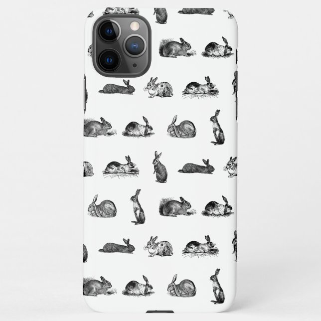 Coque iPhone Couleur personnalisée des lapins d'antiquités Art  (Dos)