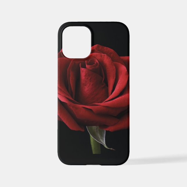 Coque iPhone Coussin de jeté à rose rouge (Verso)