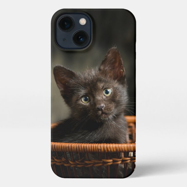 Coque iPhone Cutest Baby Animals | Kitten in Basket (Verso)