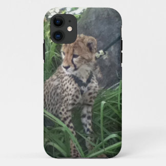 coque iphone de Cheetah