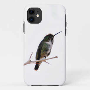 Coque iphone de colibri