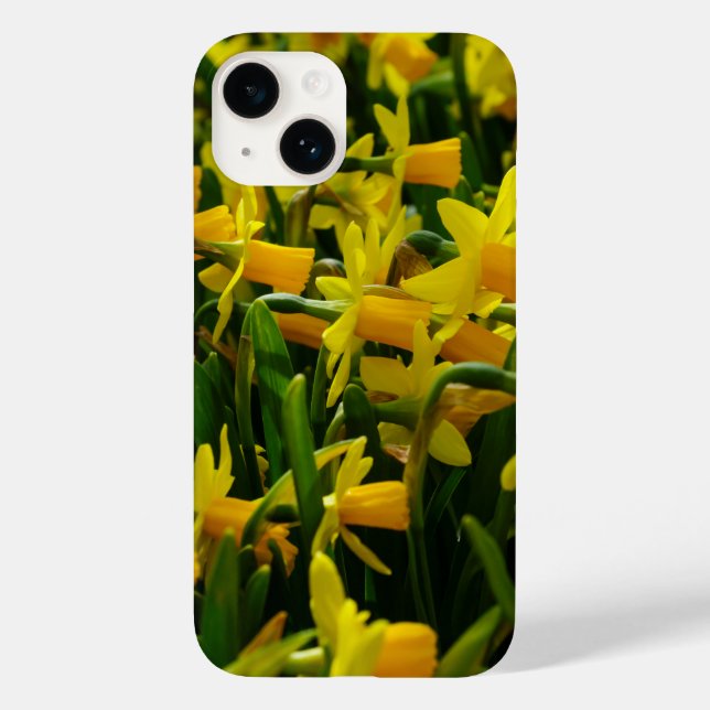 Coque iphone de famille Daffodil (Verso)