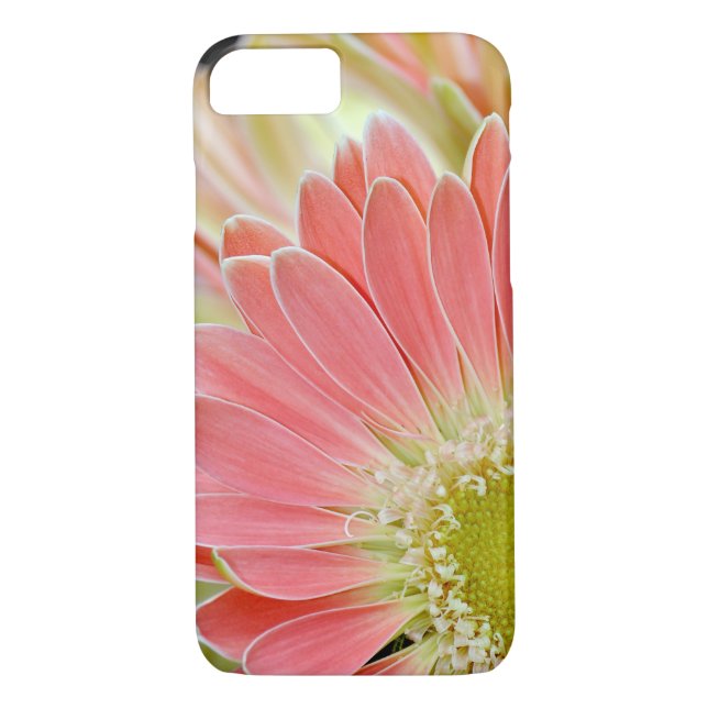 Coque iphone de fleur marguerite rose (Dos)