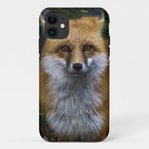 Coque iphone de Fox