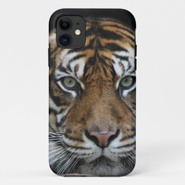 Coque iphone de tigre (Dos)