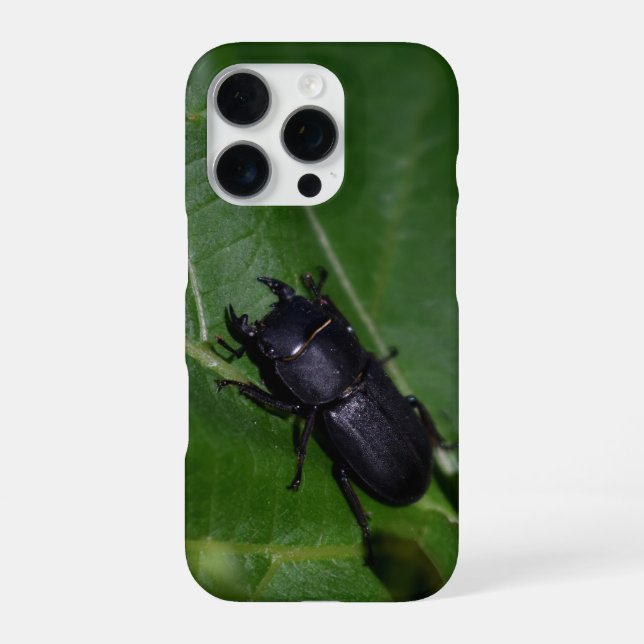 Coque iPhone Dorcus parallelipipedus, le moindre dendroctone du (Verso)