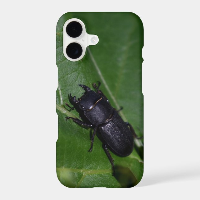 Coque iPhone Dorcus parallelipipedus, le moindre dendroctone du (Verso)
