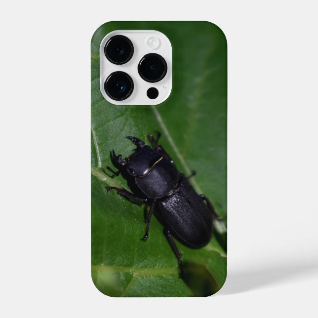 Coque iPhone Dorcus parallelipipedus, le moindre dendroctone du (Verso)