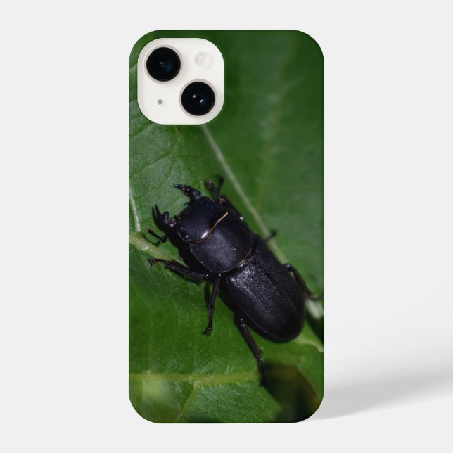 Coque iPhone Dorcus parallelipipedus, le moindre dendroctone du (Verso)