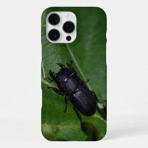 Coque iPhone 16 Pro Max Dorcus parallelipipedus, le moindre dendroctone du